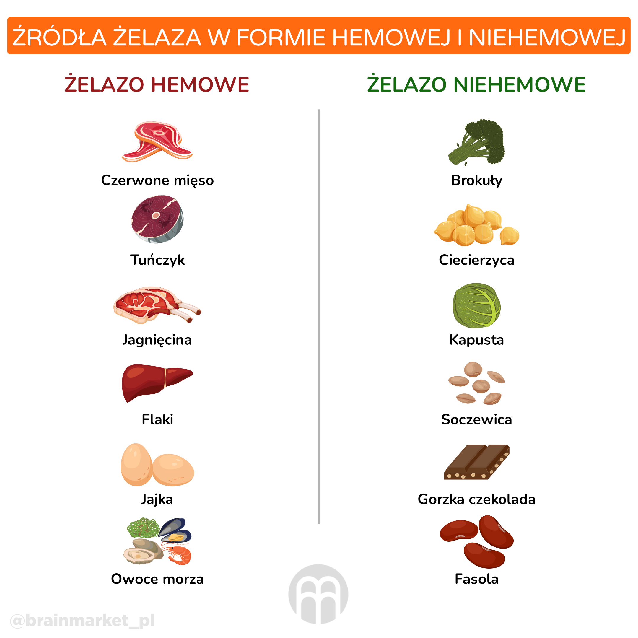 zdroje zeleza_infografika_pl